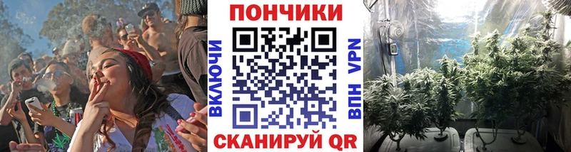 хочу   Долинск  Шишки марихуана сатива 